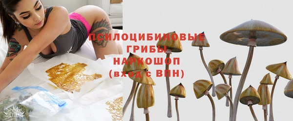 спиды Арсеньев