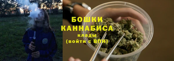 Альфа ПВП Аркадак