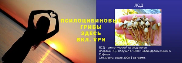 Альфа ПВП Аркадак