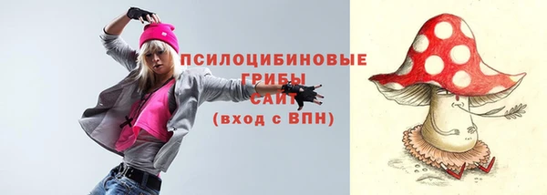 Альфа ПВП Аркадак