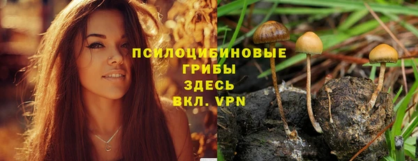 гидропоника Армянск
