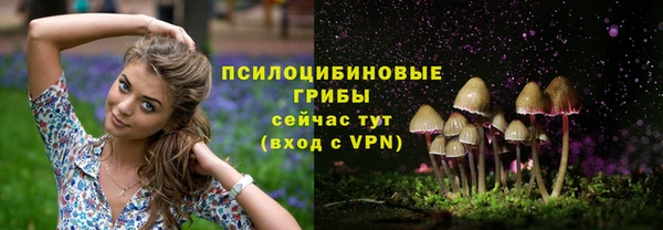 гидропоника Армянск