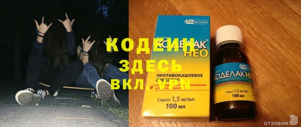 спиды Арсеньев