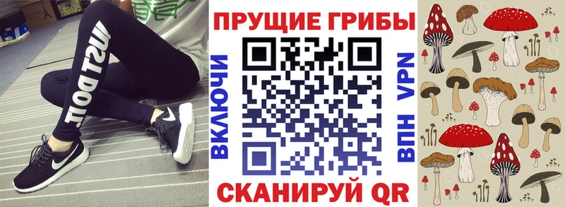 купить   МЕГА рабочий сайт  Галлюциногенные грибы Psilocybine cubensis  Обоянь 